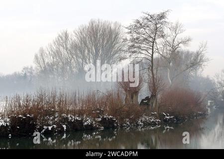 Eine ruhige Winterlandschaft mit einem Fluss und Bäumen im Nebel. Tauber, Deutschland Stockfoto