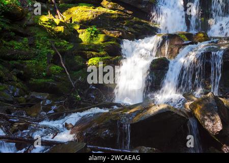 Shypit Wasserfall Nahaufnahme. Klares Wasser fließt zwischen moosigen Felsen im Morgenlicht. Frische der karpaten Natur im Sommer Stockfoto