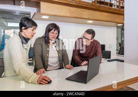 Drei Kollegen in einem Büro, ein Mann und zwei Frauen beraten etwas auf einem Laptop, der von einer der Frauen mit der Maus gesteuert wird Stockfoto