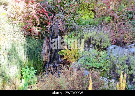 Der Alpengarten Flore-Alpe ist ein botanischer Garten in Champex-Lac, einem Ferienort der Stadt Orsières im Kanton Wallis Stockfoto