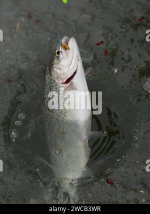Borsice, Region Uherske Hradiste. Januar 2024. Eisfischen am Teich