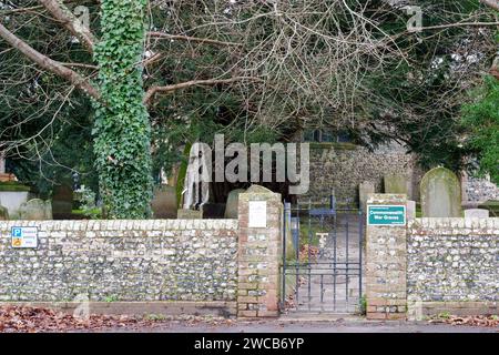 Alte Eibe in der St. Thomas' Church Bedhampton Stockfoto