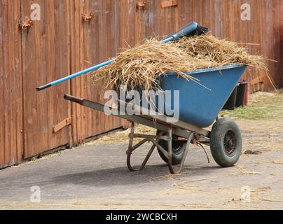 Eine Schubkarre mit Strohhalm und einer Bürste bei Pferdestallungen. Stockfoto