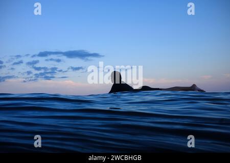 Surfer wartet auf eine Welle bei Sonnenuntergang Stockfoto