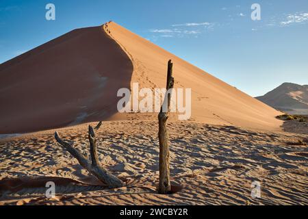 Gruppe von Touristen, die die Sanddünen der Namib-Wüste unter starkem Wind erklimmen, Namibia, Afrika Stockfoto