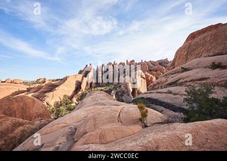 Eine Vielzahl von Felsformationen, vor allem Felsflossen, schmücken diese einzigartige Landschaft im Süden utahs. Stockfoto