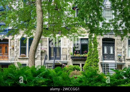 Viktorianische Häuser in Le Plateau Mont Royal in Montreal, Quebec Stockfoto