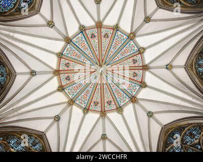 Decke mit verzierten Bossen im Kapitelhaus des Münsters (Kathedrale) in York, England. Stockfoto