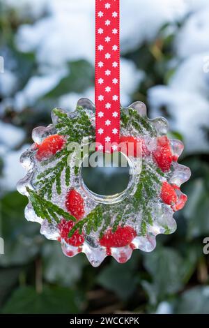 Eisfigur mit Hüftrose und Laubenvitenzweigen hängen im Wintergarten Stockfoto