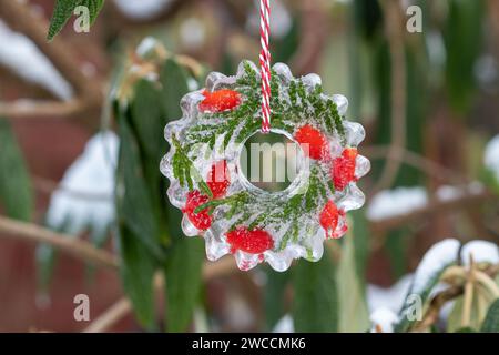 Eisfigur mit Hüftrose und Laubenvitenzweigen hängen im Wintergarten Stockfoto