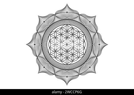 Heiliger Lotus yantra Mandala, mystische Blume des Lebens. Heilige Geometrie, grafisches Element des Vektorlogos isoliert. Mystische Ikone Same des Lebens, geometrisches Zeichen Stock Vektor