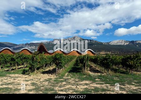 Bodega Ysios Weingut mit seinem unverwechselbaren Dach, entworfen von Santiago Calatrava, am Fuße der Sierra Cantabria, La Rioja, Spanien, Europa Stockfoto