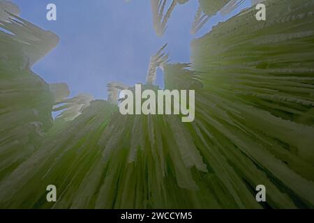 Blick auf eine hoch aufragende Eiszapfwand, die von hinten von grünen Lichtern beleuchtet wird, in Ice Castles am Genfer See, Wisconsin, USA Stockfoto