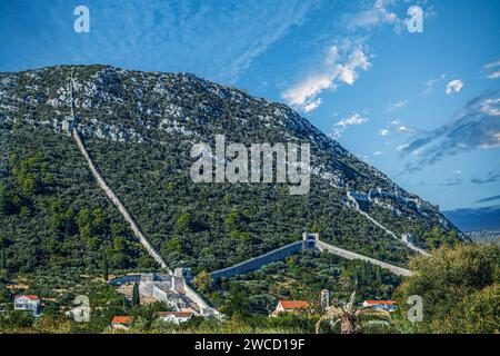 Blick mit den Mauern von Ston, der „Großen Mauer Europas“, die heute 5,5 km lang ist Der Bau wurde 1358 begonnen und verbindet Ston mit Mali Ston und es Stockfoto