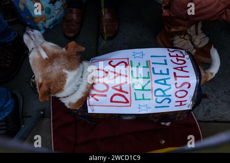 Trafalgar Square, London, Großbritannien. Januar 2024. Tausende von Menschen traten der israelischen Kundgebung in London bei, die 100 Tage nach der Gefangennahme der Geiseln nach dem Terroranschlag der Hamas auf Israel stattfand. Die Veranstaltung beinhaltete eine Reihe von Sprechern, darunter Familienmitglieder einiger der 136 Geiseln, die noch immer in Gefangenschaft gehalten wurden, sowie musikalische Darbietungen israelischer Künstler. 1.400 Israelis wurden brutal ermordet und 240 Geiseln genommen, als die Hamas am 7. Oktober 2023 in Israel einmarschierte. Foto: Amanda Rose/Alamy Live News Stockfoto