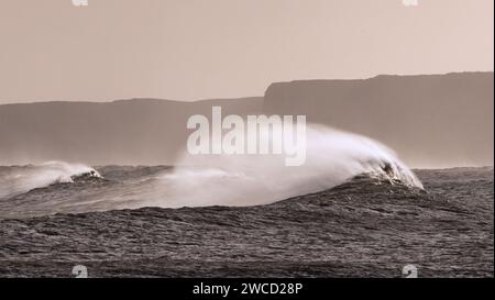 Winterstürme aus nördlicher Richtung entfachen bald große Wellen, die in die Yorkshire Coast stürzen und eine verstärkte Erosion der Klippen verursachen. Stockfoto