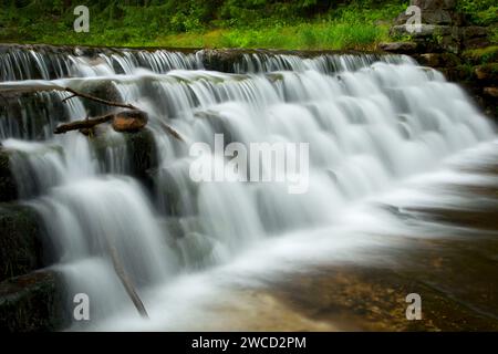 Wasserfall auf Hickory Run, Hickory Run State Park, Pennsylvania Stockfoto