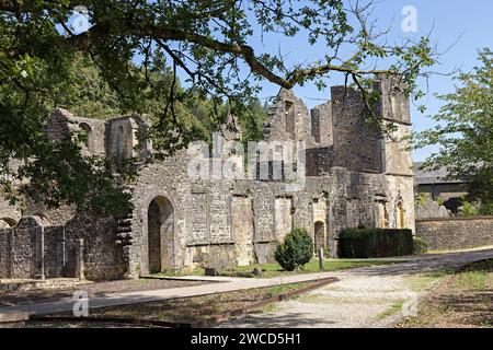 Ruinierte Abtei in Orval, Belgien Stockfoto