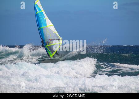 Wellensegeln im Meer (Atlantik, Teneriffa, Spanien) Stockfoto