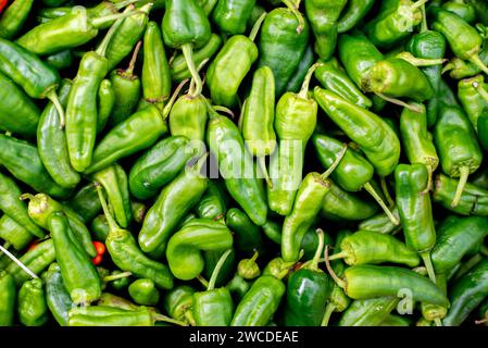 Ein lebendiges, hochauflösendes Nahfoto mit einer Vielzahl von frischen, grünen Chilischoten, die auf einem geschäftigen Markt zum Verkauf angeboten werden Stockfoto