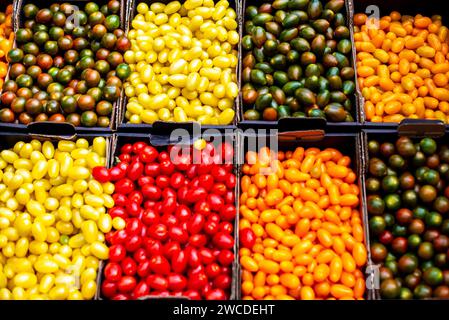 Ein lebhaftes Sortiment an verschiedenfarbigen Tomaten, die ordentlich in Kisten angeordnet sind und in einer Außenumgebung in unmittelbarer Nähe zueinander stehen Stockfoto