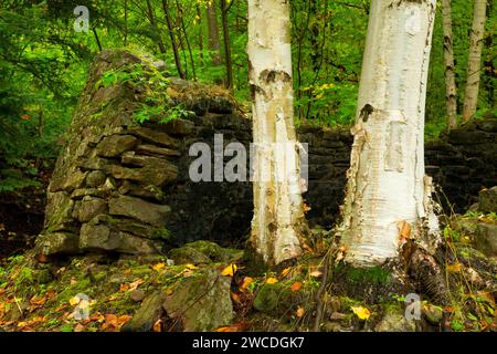 Rock River-Öfen, Hiawatha National Forest, Michigan Stockfoto