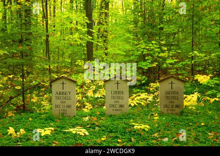 Friedhof am Rock River Ofens, Hiawatha National Forest, Michigan Stockfoto