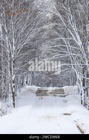 Die Landstraße nach einem Schneesturm bedeckte die Bäume im Mecosta County, Michigan, USA Stockfoto