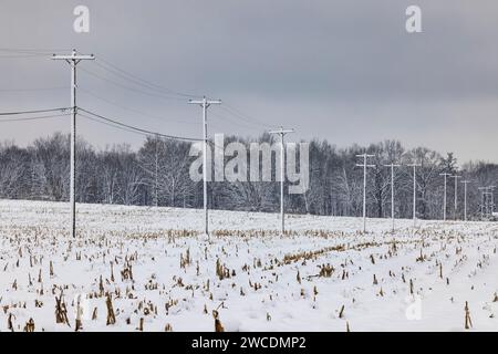 Stromleitungen und Pole nach einem Schneesturm im Mecosta County, Michigan, USA Stockfoto