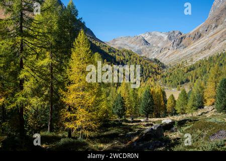 Herbstlicher Weitblick im Val da Camp mit seinen faszinierenden Bergseen Stockfoto