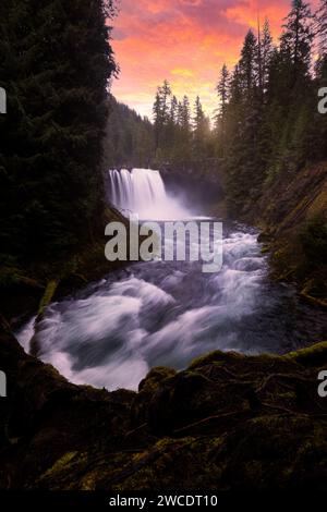 Ein Kunstbild der Landschaftsfotografie der Koosah Falls in Oregon mit Frühlingslaub im Vordergrund bei einem feurigen und farbenfrohen Sonnenuntergang. Stockfoto