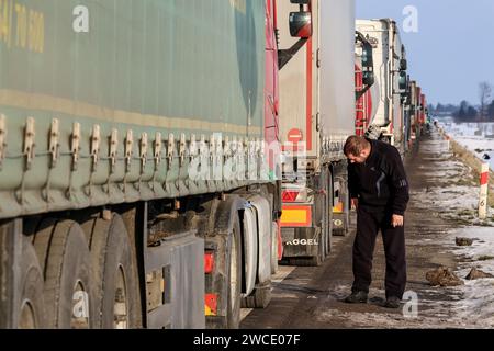 Medyka, Polen, 15. Januar 2024. Ein Lkw-Fahrer kontrolliert sein Auto, während LKW in einer Linie stehen, um die Grenze in Medyka zu überqueren, während die polnische verkehrsgewerkschaft kontinuierlich streikt und Medyka der einzige voll funktionsfähige Grenzübergang für LKW-Transporte zwischen Polen und der Ukraine ist. Die union verlangt eine Neuverhandlung der Verkehrsabkommen zwischen der Ukraine und der Europäischen Union. Die Demonstranten blockierten drei weitere Übergänge für den Lkw-Transport, sodass nur vier Lkw pro Stunde ohne humanitäre und militärische Hilfe sowie empfindliche Chemikalien- und Lebensmittelgüter zugelassen wurden. Der Streik begann am 6. November. Ukrainische Fahrer sagen, sie warten mehr Stockfoto