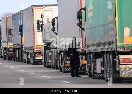 Medyka, Polen, 15. Januar 2024. Ein Lkw-Fahrer kontrolliert sein Auto, während LKW in einer Linie stehen, um die Grenze in Medyka zu überqueren, während die polnische verkehrsgewerkschaft kontinuierlich streikt und Medyka der einzige voll funktionsfähige Grenzübergang für LKW-Transporte zwischen Polen und der Ukraine ist. Die union verlangt eine Neuverhandlung der Verkehrsabkommen zwischen der Ukraine und der Europäischen Union. Die Demonstranten blockierten drei weitere Übergänge für den Lkw-Transport, sodass nur vier Lkw pro Stunde ohne humanitäre und militärische Hilfe sowie empfindliche Chemikalien- und Lebensmittelgüter zugelassen wurden. Der Streik begann am 6. November. Ukrainische Fahrer sagen, sie warten mehr Stockfoto