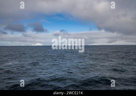 Auf dem Weg zur Bucht von Brialmont fliegen in der Bransfield Strait tief über den südlichen Ozean. Stockfoto