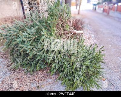 Farbbild eines entsorgten Weihnachtsbaums, draußen an der Seite in der Nähe von Mülltonnen Stockfoto