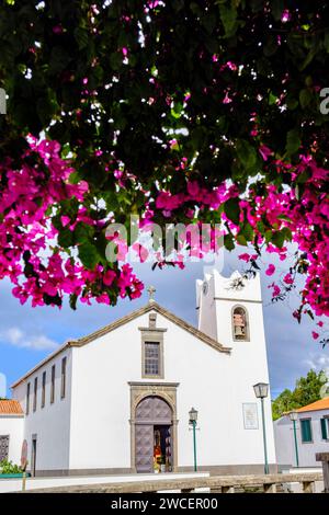 Pfarrkirche Santana, Igreja Matriz de Santana, eingerahmt von Bougainvillea spectabilis blühenden Zierreben, Santana, Insel Madeira, Portugal Stockfoto