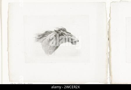 Paardenhoofd, rechts Joannes Bemme, nach Gerrit Malleyn, 1801 Druckpapier ätzendes Pferd (+ Kopf eines Tieres) Stockfoto