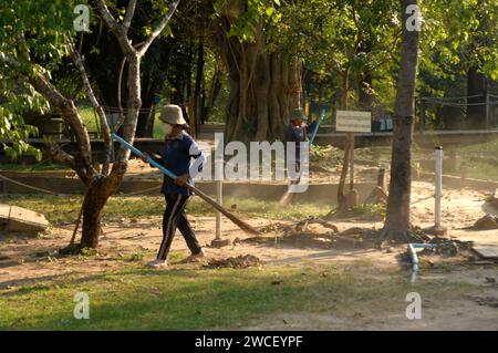 Damen fegen Blätter um einen Killing Tree in den Killing Fields des Choung EK Genocidal Center, Phnom Penh, Kambodscha. Stockfoto