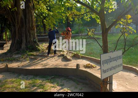 Damen fegen Blätter um einen Killing Tree in den Killing Fields des Choung EK Genocidal Center, Phnom Penh, Kambodscha. Stockfoto