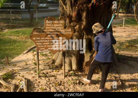 Damen fegen Blätter um einen Killing Tree in den Killing Fields des Choung EK Genocidal Center, Phnom Penh, Kambodscha. Stockfoto