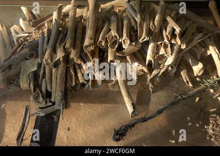 Menschliche Knochen im Choung EK Genozidal Center, Phnom Penh, Kambodscha. Stockfoto