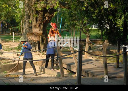 Damen fegen Blätter um einen Killing Tree in den Killing Fields des Choung EK Genocidal Center, Phnom Penh, Kambodscha. Stockfoto