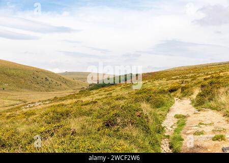 West Dart Valley im Dartmoor Nationalpark, mit Wanderweg zum Wistmans Wood, englische Landschaft, Devon, England, Großbritannien, 2023 Stockfoto