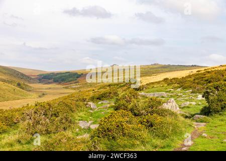 West Dart Valley im Dartmoor Nationalpark, mit Wanderweg zum Wistmans Wood, englische Landschaft, Devon, England, Großbritannien, 2023 Stockfoto