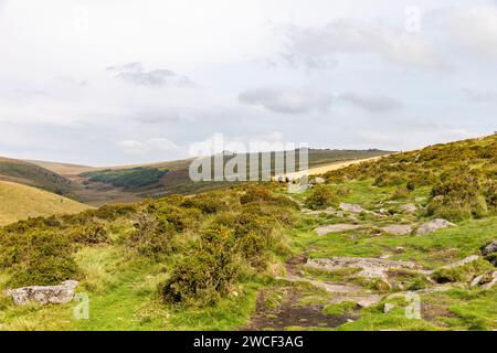 West Dart Valley im Dartmoor Nationalpark, mit Wanderweg zum Wistmans Wood, englische Landschaft, Devon, England, Großbritannien, 2023 Stockfoto