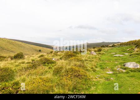 West Dart Valley im Dartmoor Nationalpark, mit Wanderweg zum Wistmans Wood, englische Landschaft, Devon, England, Großbritannien, 2023 Stockfoto