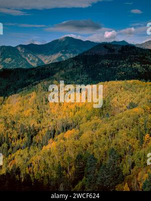 Silver Mountain, San Juan National Forest, Colorado Stockfoto