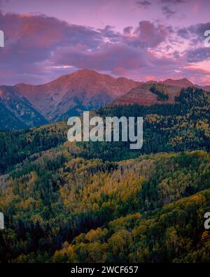 Dawn, Silver Mountain, San Juan National Forest, Colorado Stockfoto