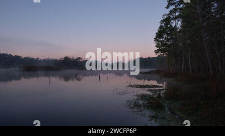 Nebel hängt bei Sonnenaufgang über einem Teich, während der Himmel sich in einem hellen Rosa färbt. Stockfoto