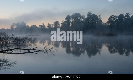 Nebel zieht über das Wasser und wird dünner, wenn die Sonne am Himmel aufgeht. Stockfoto